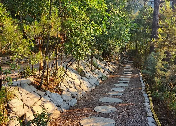 Dimitra Aparthotel Skala Potamia (Thasos)