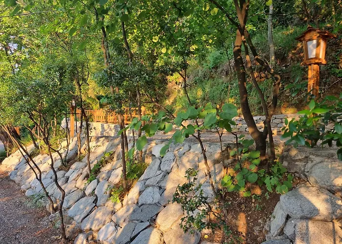 Dimitra Aparthotel Skala Potamia (Thasos)