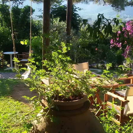 Lägenhetshotell Dimitra 3*