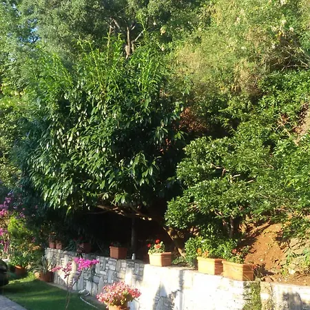 Lägenhetshotell Dimitra Skala Potamia (Thasos)