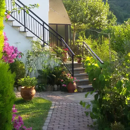 Dimitra 3* Skala Potamia (Thasos)