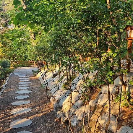 Dimitra Aparthotel Skala Potamia (Thasos)