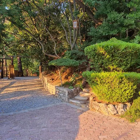 Dimitra Apart Otel 3*