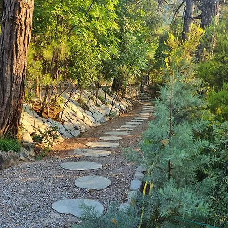 Aparthotel Dimitra 3*