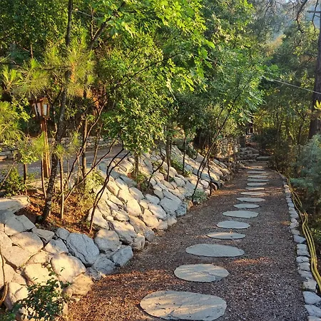 Dimitra Aparthotel Skala Potamia (Thasos)