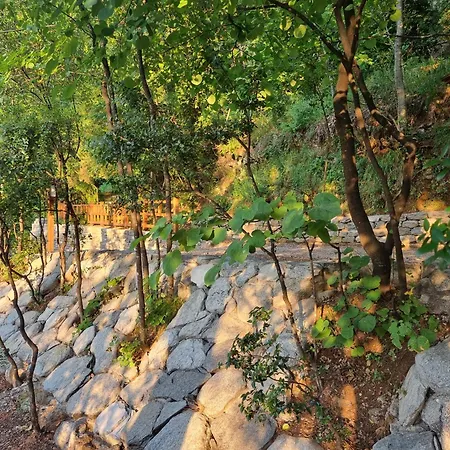 Dimitra Apart Otel Skala Potamia (Thasos)