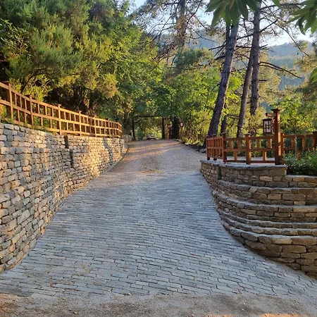 Aparthotel Dimitra