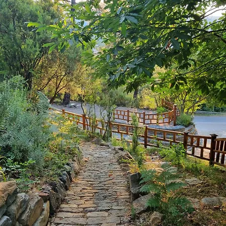 公寓式酒店 Dimitra 斯卡拉伯塔麦斯