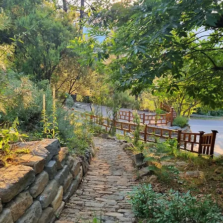 Dimitra Skala Potamia (Thasos)