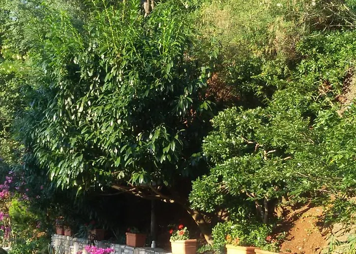 מלון דירות Dimitra סקאלה פוטאמיאס