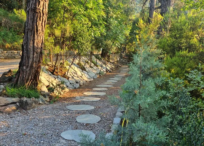 Apart-hotel Dimitra 3*