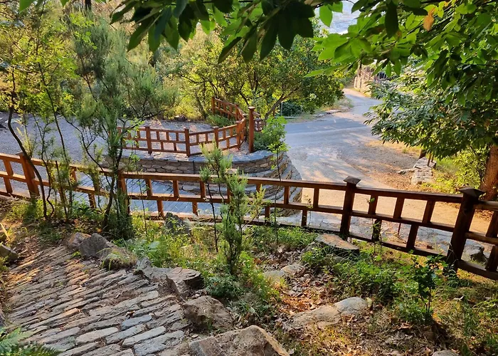 Dimitra מלון דירות