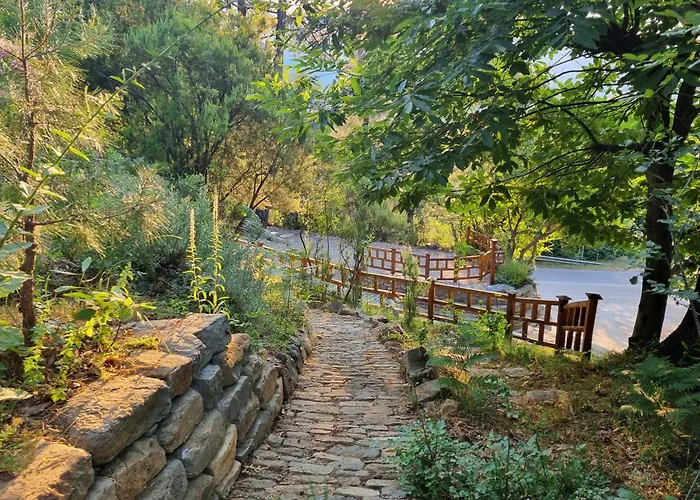 Dimitra סקאלה פוטאמיאס